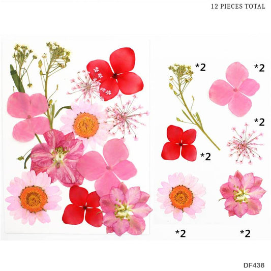 Dried Flower - DF43-8