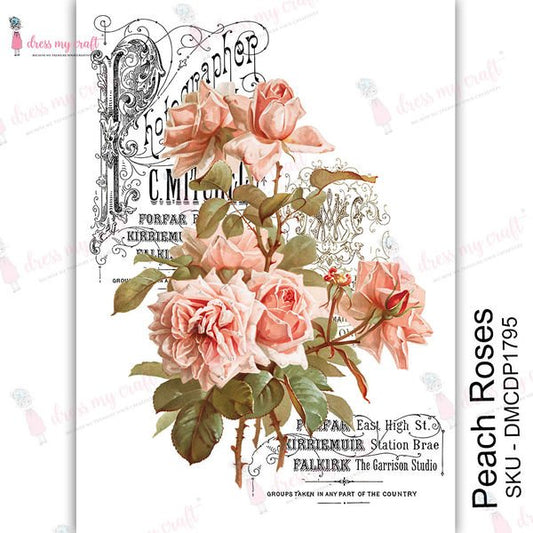 Peach Roses - Transfer Me (DMCDP1795)
