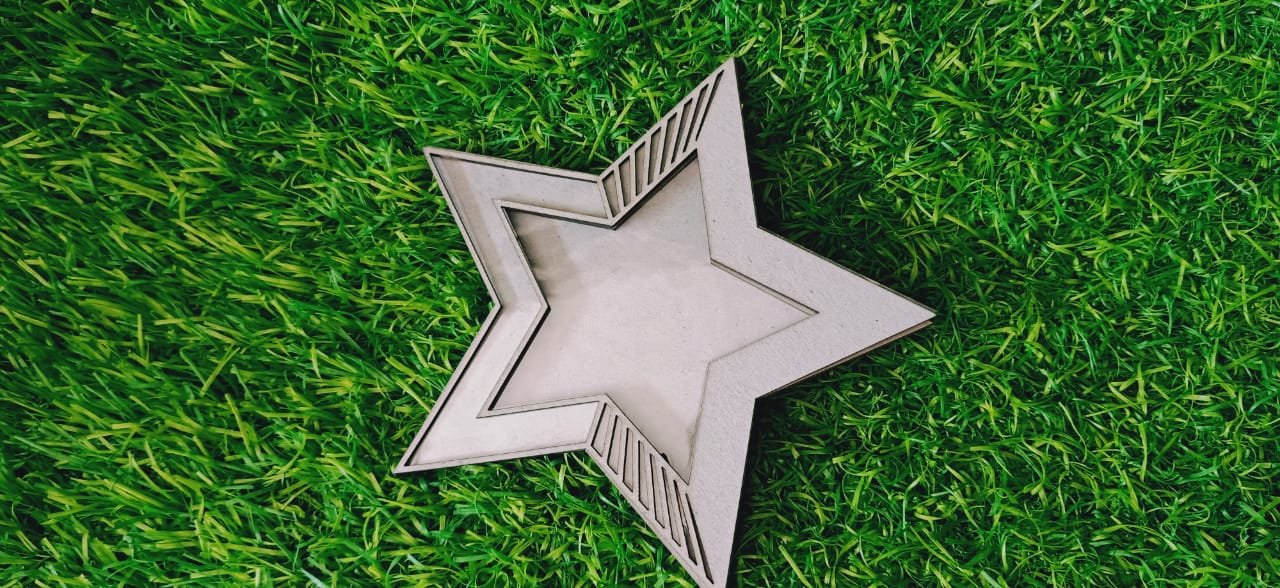 Star – Papericious- Ready To Use- 3D Shaker Chippis