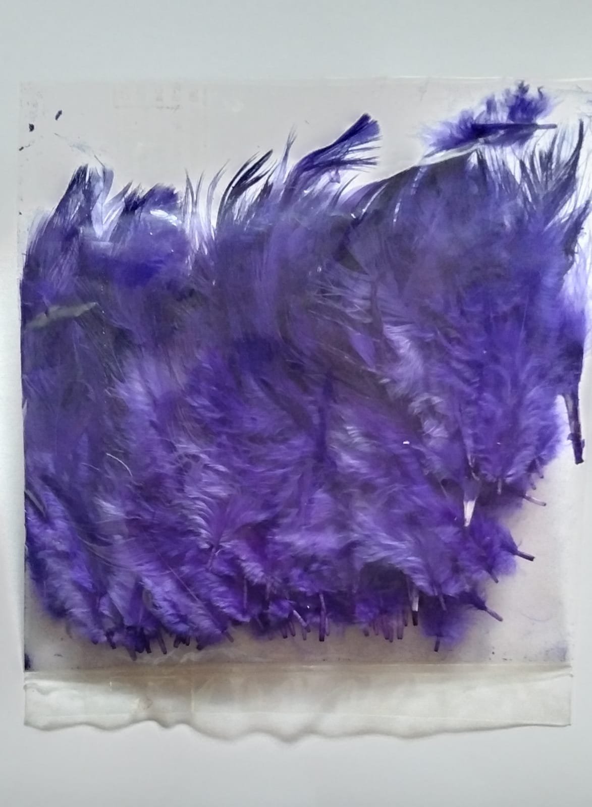 Soft Feathers - (Purple)
