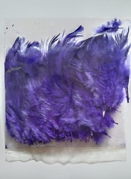 Soft Feathers - (Purple)