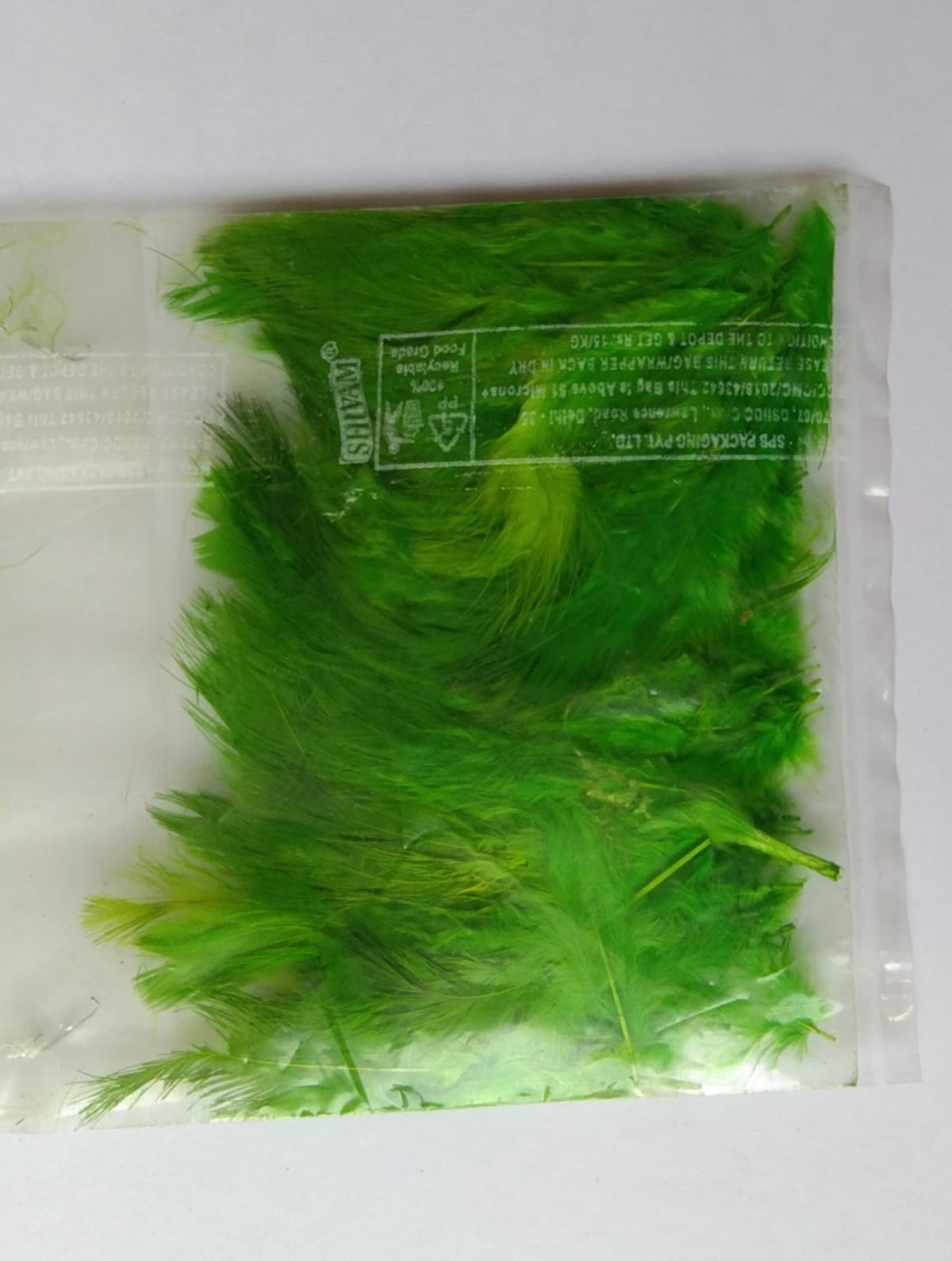 Soft Feathers - (Light Green)