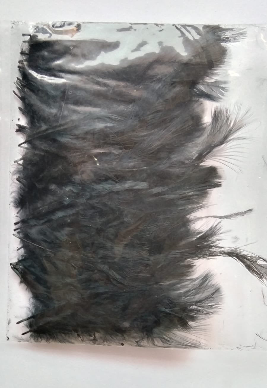 Soft Feathers - (Black)