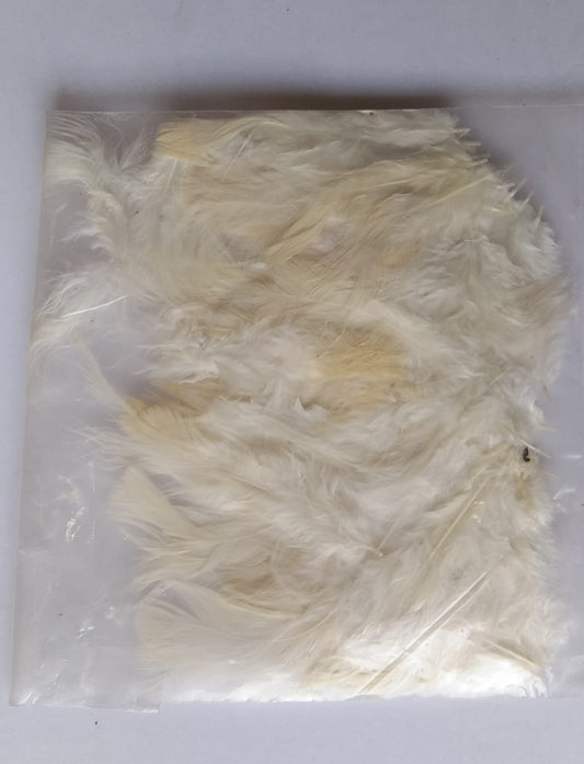 Soft Feathers - (White)