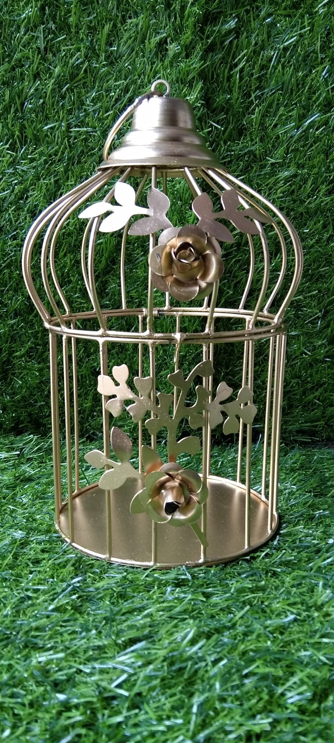 Golden Cage - 9-10inch