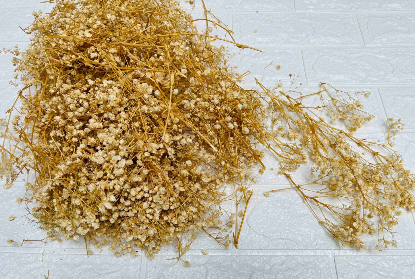 Baby Breath (Golden)