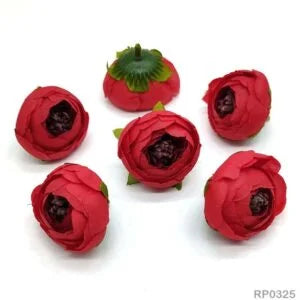 Red Peony Flower
