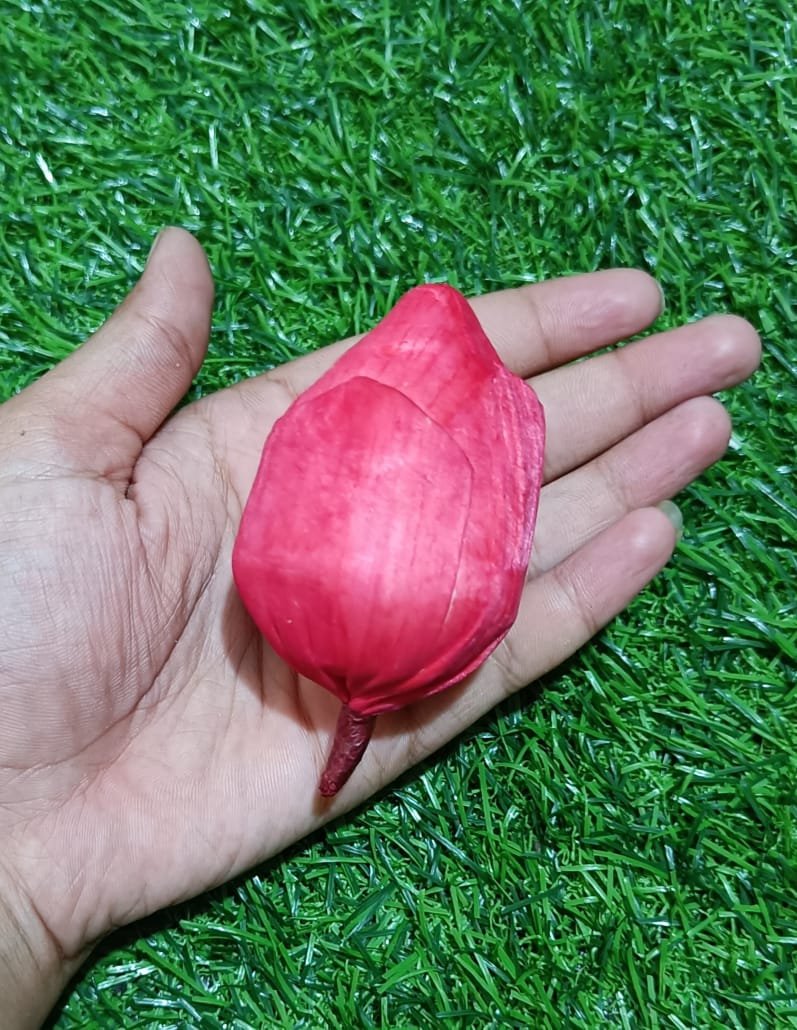 Lotus Buds (Red) - 10pc