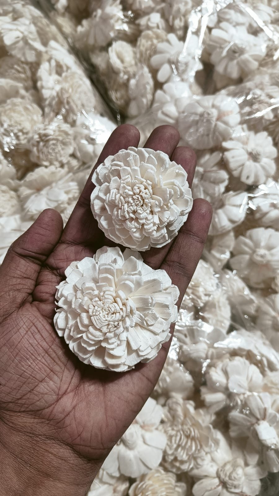 Preserved Sola Wood Flower For Resin 6cm - 10pc