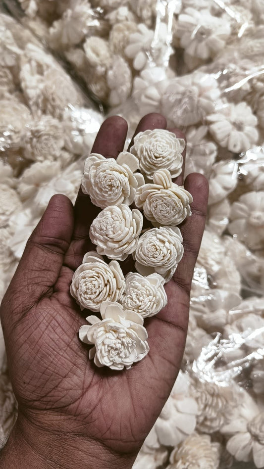 Preserved Sola Wood Flower For Resin 3cm – 10pc