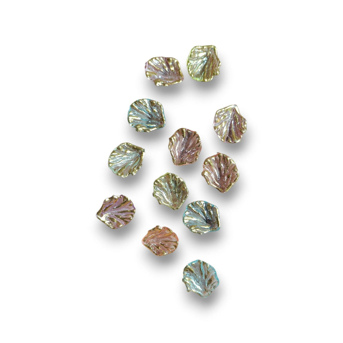Multi Shells Shape Petals