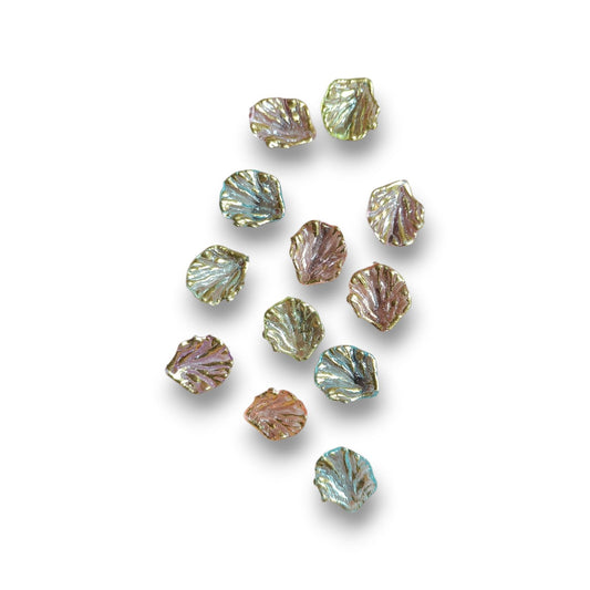 Multi Shells Shape Petals