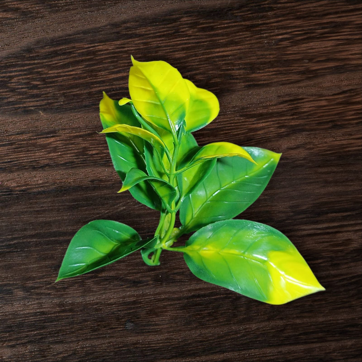 Artificial leaves (Filler4)