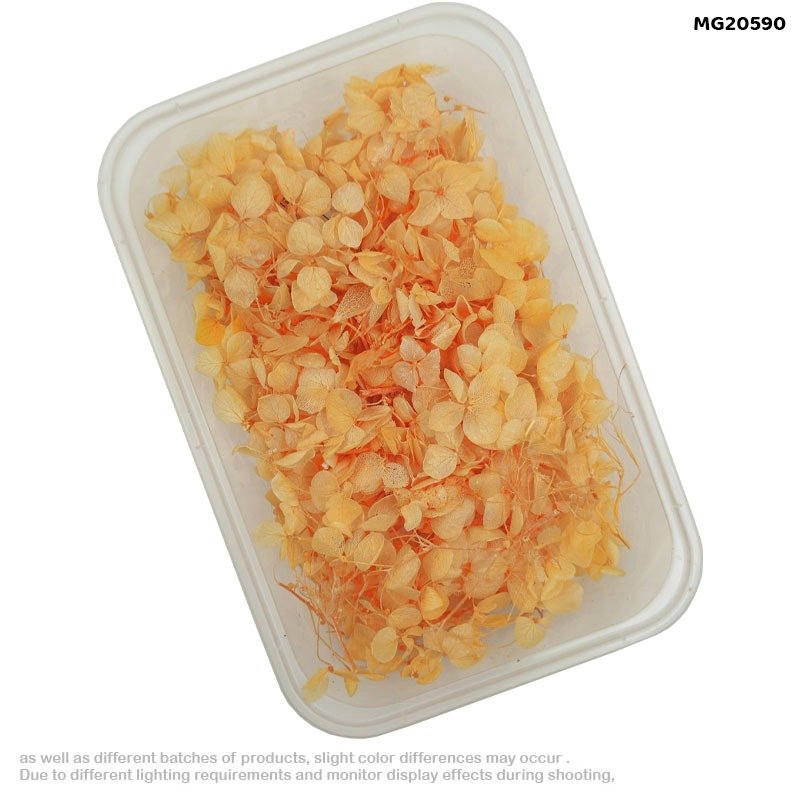 Dry Flower Box (MG20590)