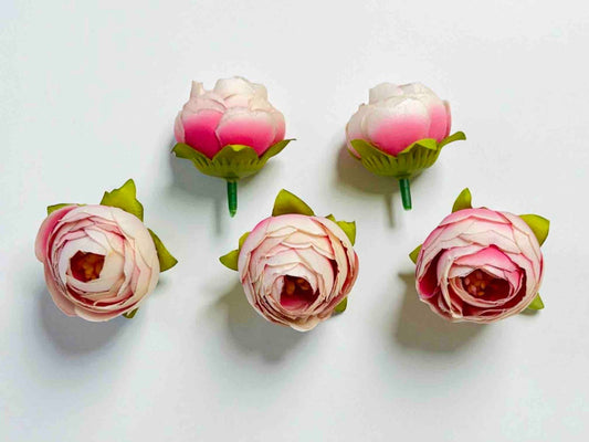 Pink Cream Dual Shade Peony Flower