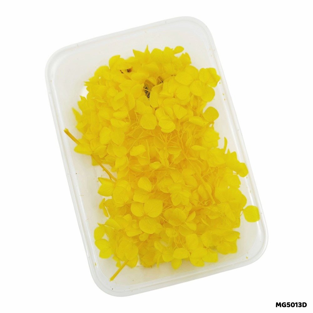Dry Flower Box (MG5013D)