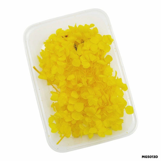 Dry Flower Box (MG5013D)
