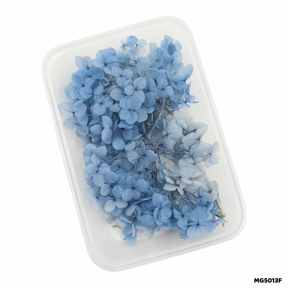Dry Flower Box (MG5013F)