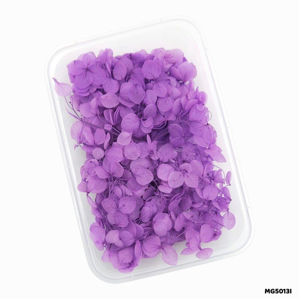 Dry Flower Box (MG5013I)