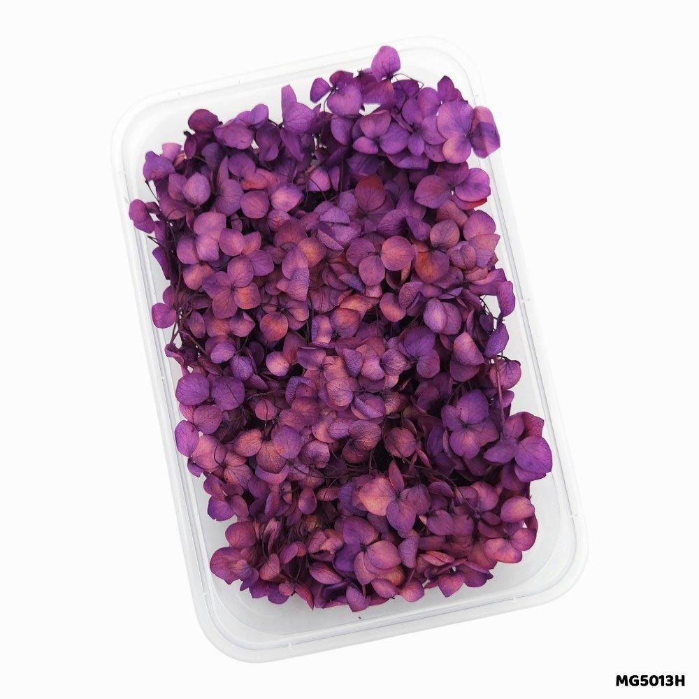 Dry Flower Box (MG5013H)