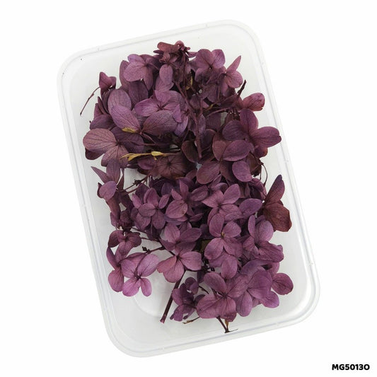 Dry Flower Box (MG5013O)