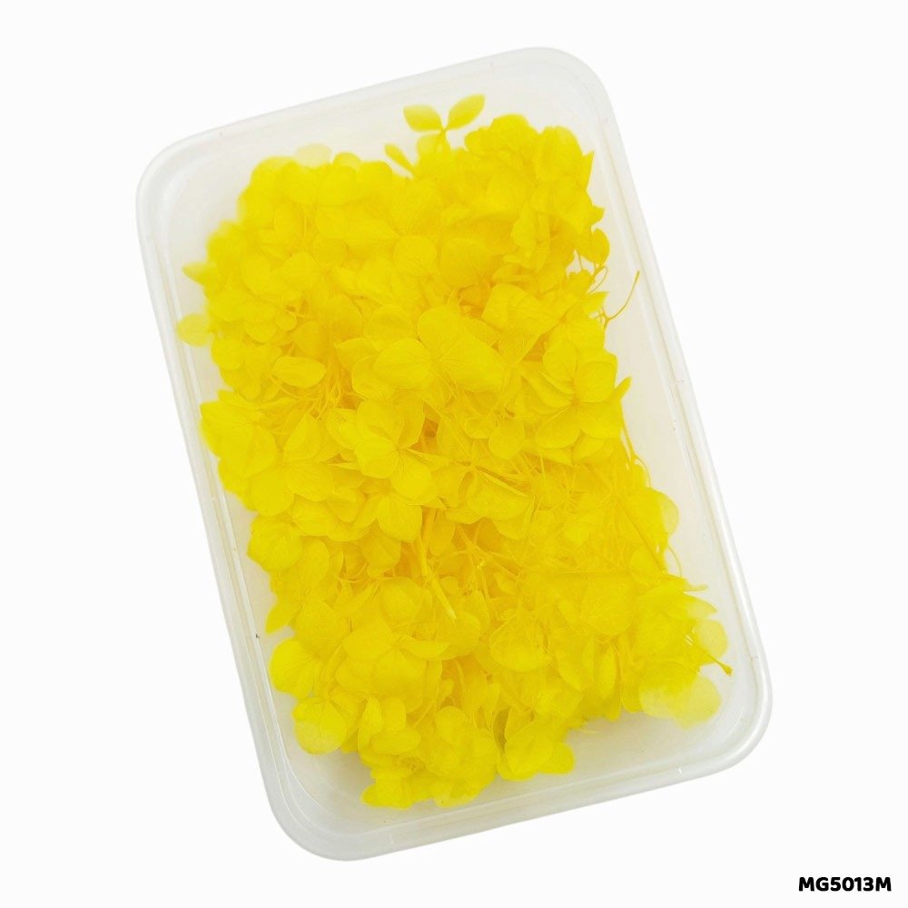 Dry Flower Box (MG5013M)