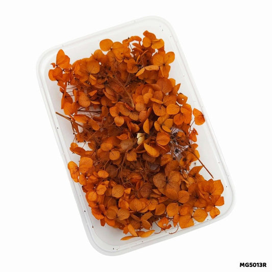 Dry Flower Box (MG5013R)