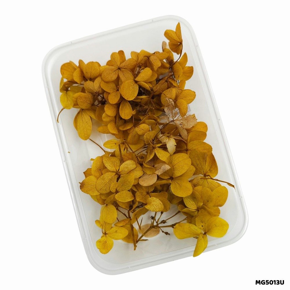 Dry Flower Box (MG5013U)