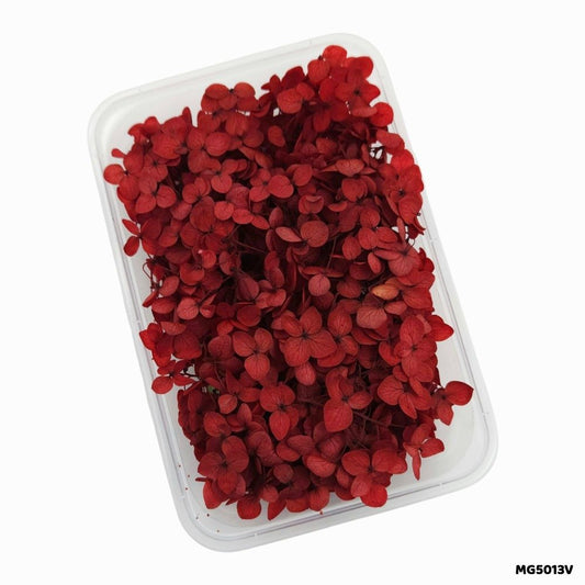 Dry Flower Box (MG5013V)