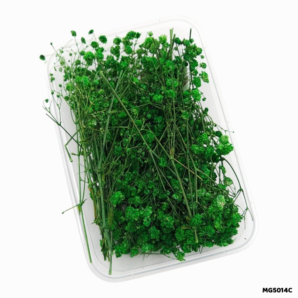 Dry Flower Box (MG5014C)