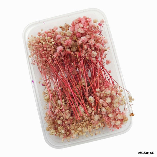 Dry Flower Box (MG5014E)