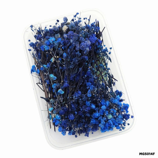 Dry Flower Box (MG5014F)
