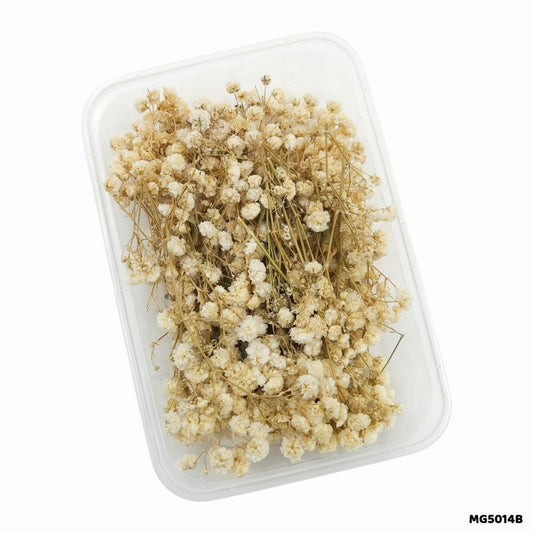 Dry Flower Box (MG5014B)