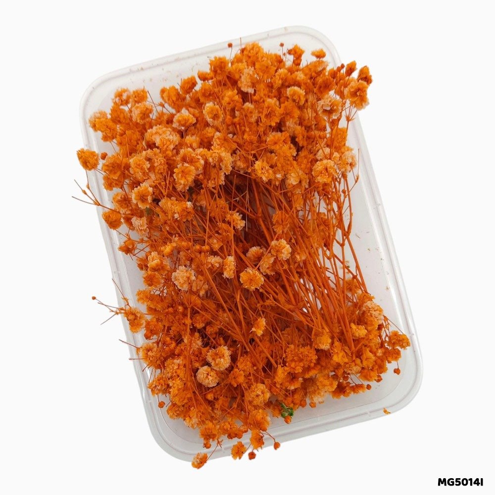 Dry Flower Box (MG5014I)