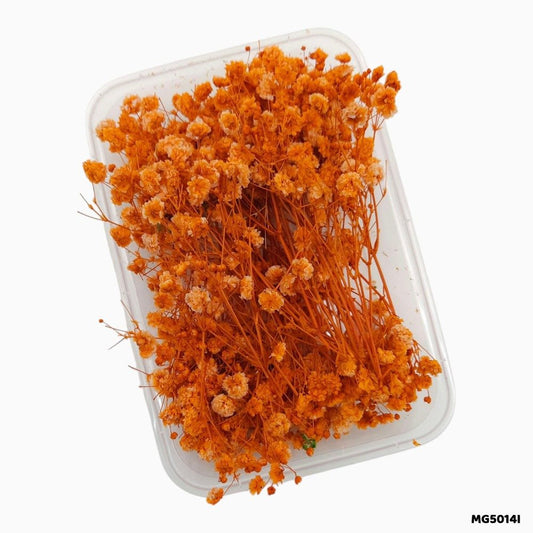 Dry Flower Box (MG5014I)