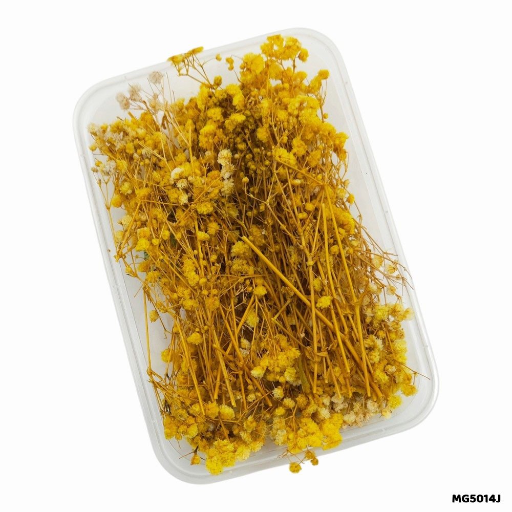 Dry Flower Box (MG5014J)