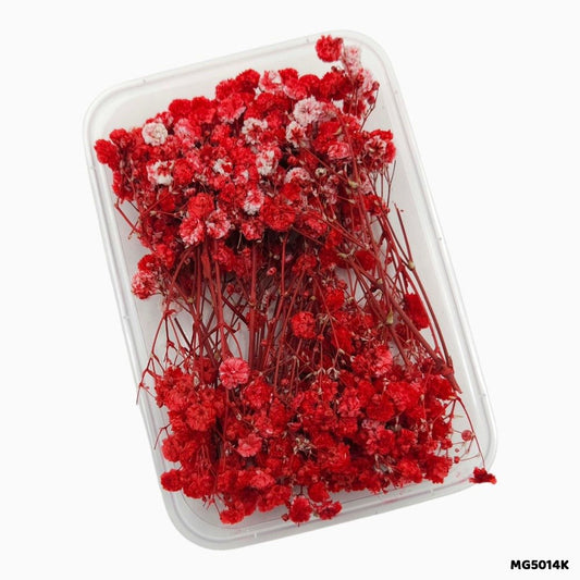 Dry Flower Box (MG5014K)