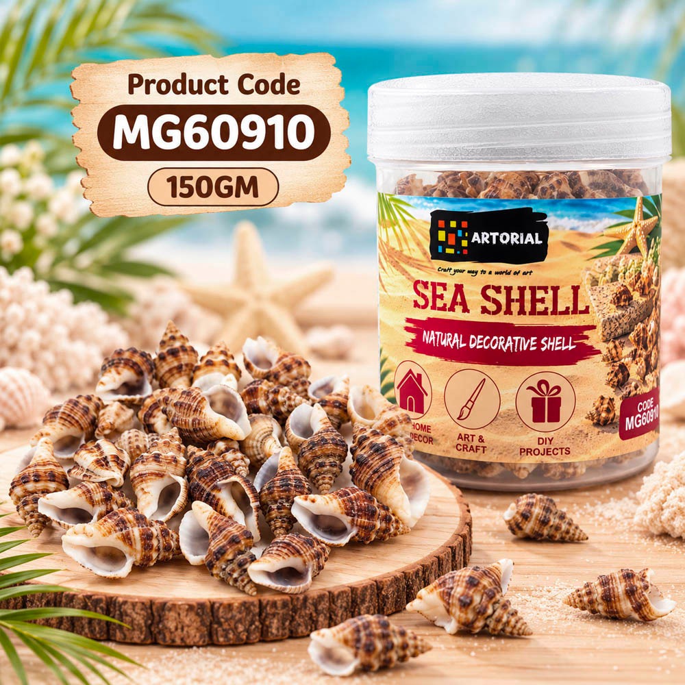 Sea Shells (MG60910) - 150gm