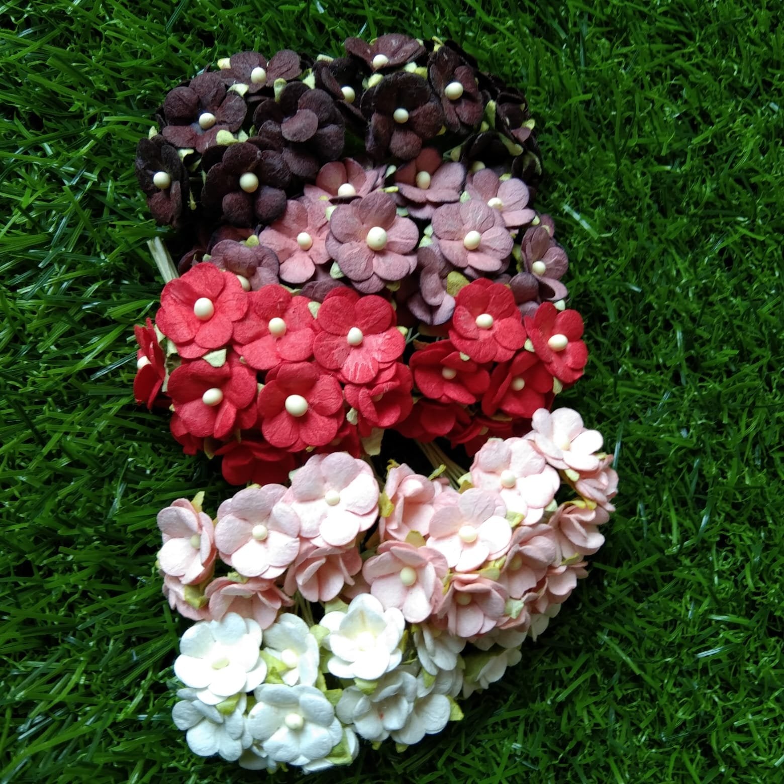 Mulberry Flower