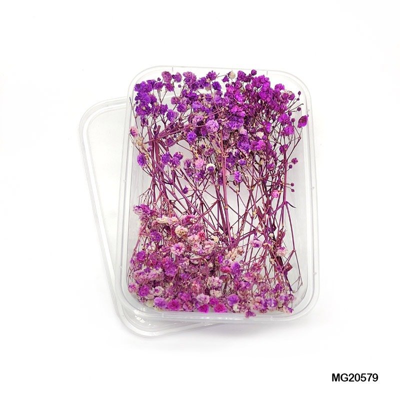 Dry Flower Box (MG20579)