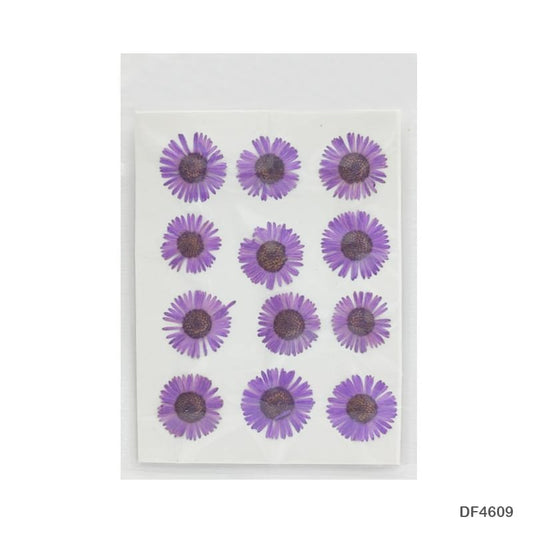 Dry Flower Sheet DF469