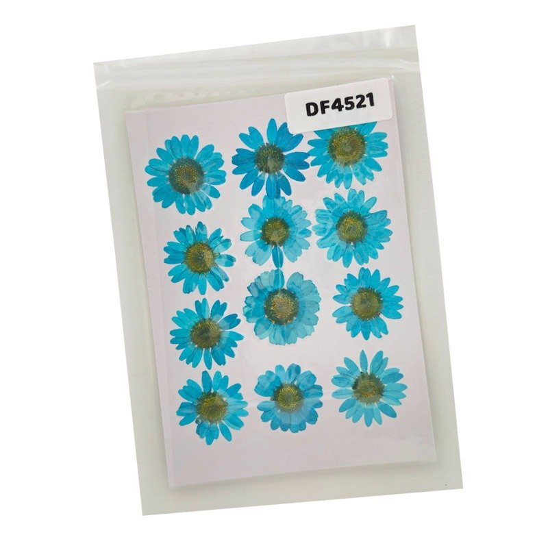 Dried Flower/Pressed Flower - DF4521