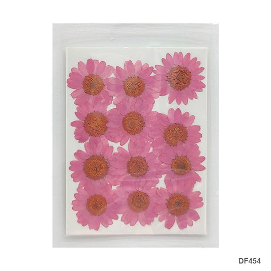 Dried Flower / Pressed Flower - DF454
