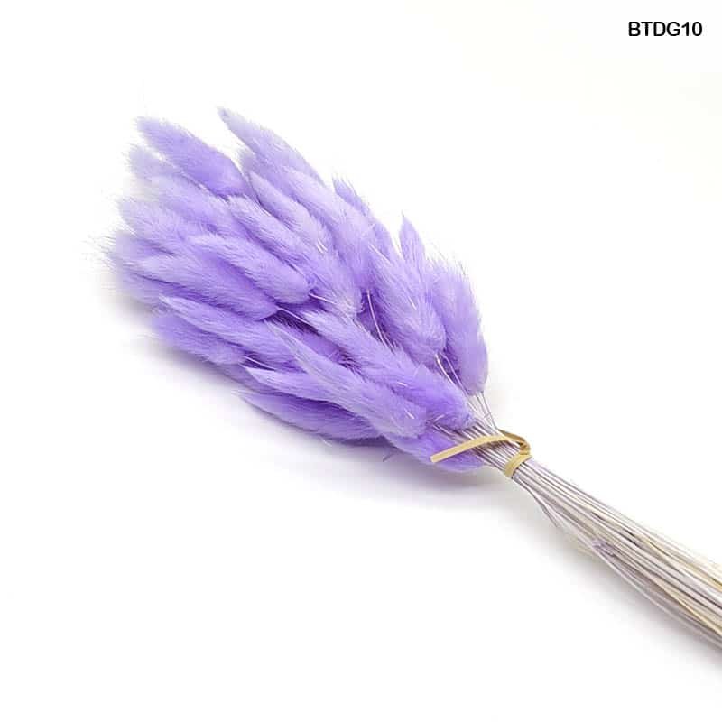 Bunny Tail Purple (BTDG10)