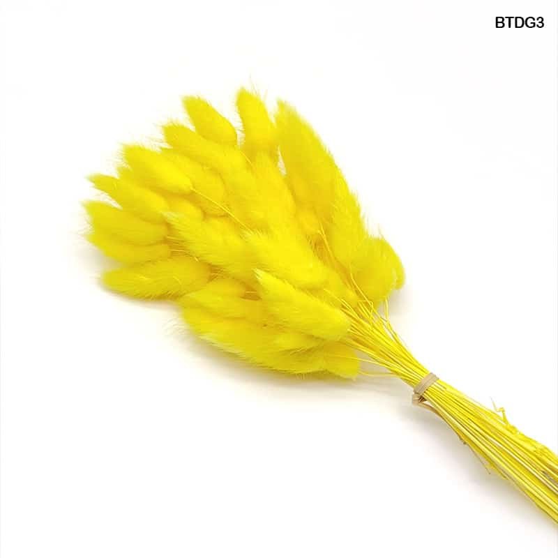 Bunny Tail (BTDG3