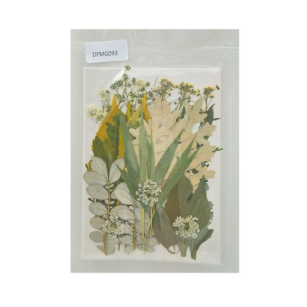 DRY FLOWER SHEET (DFMG093)
