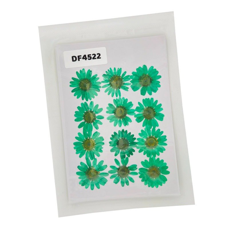 Dried Flower/Pressed Flower - DF4522