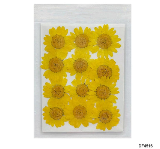 Dried Flower/Pressed Flower - RAWDFD