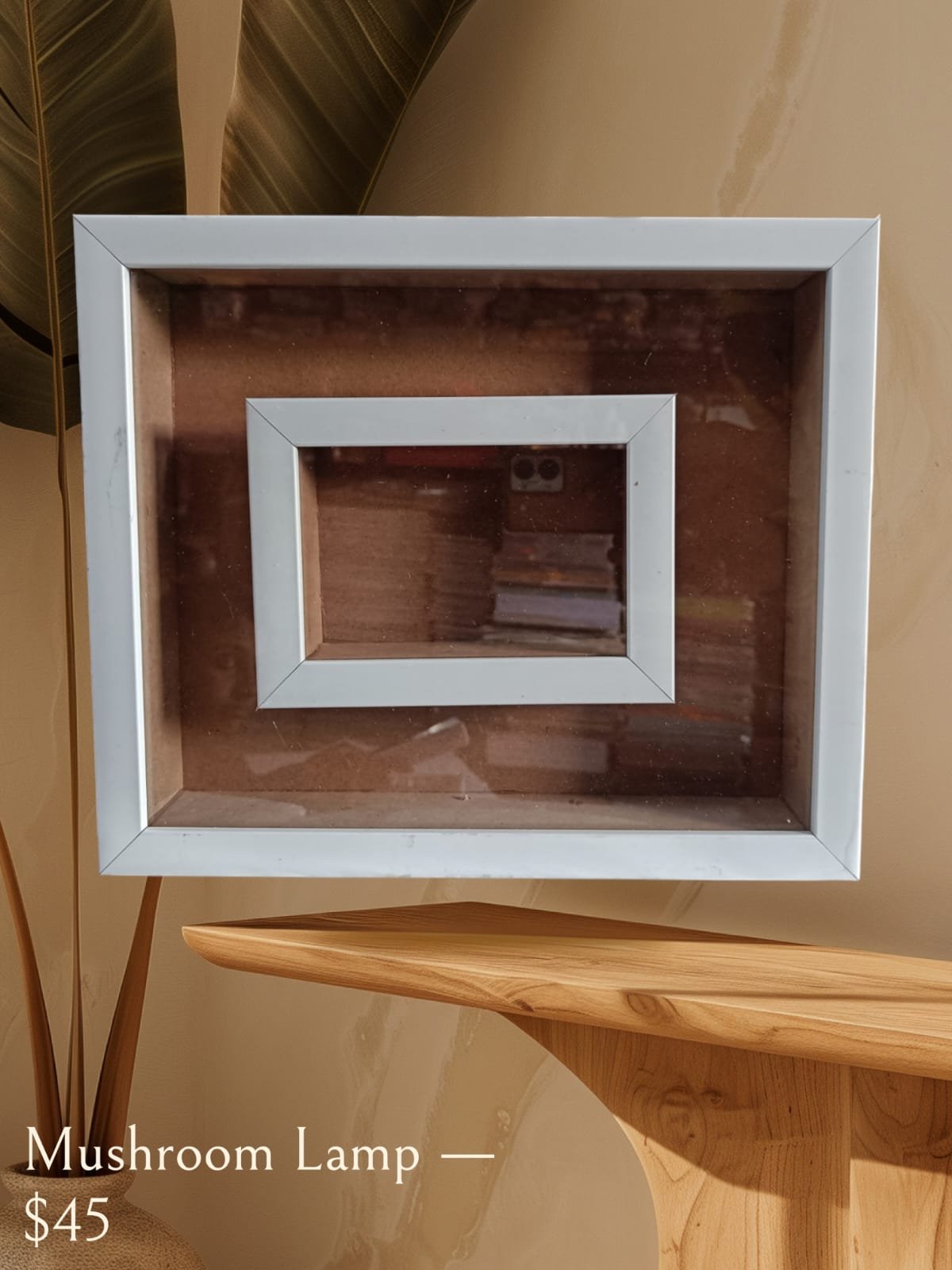 Double Shadow Box Glass Frame (White)