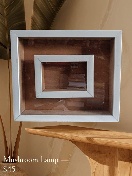 Double Shadow Box Glass Frame (White)